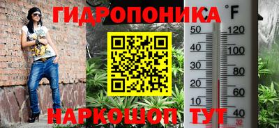 ПСИЛОЦИБИНОВЫЕ ГРИБЫ Новокубанск