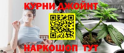 ПСИЛОЦИБИНОВЫЕ ГРИБЫ Новокубанск