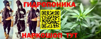 дживик Новодвинск