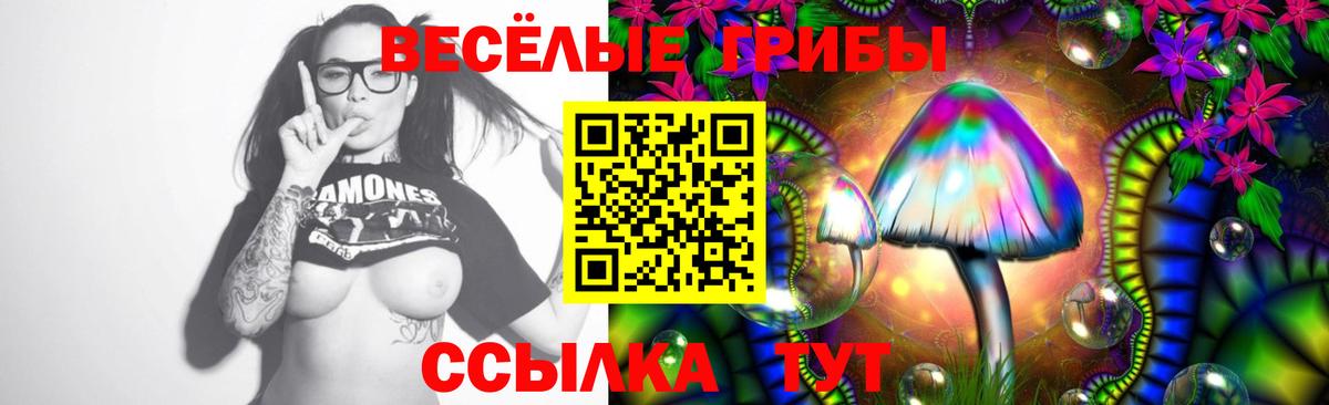 Галлюциногенные грибы Cubensis Унеча